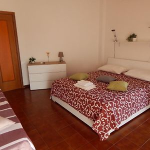 B&B L'Orchidea
